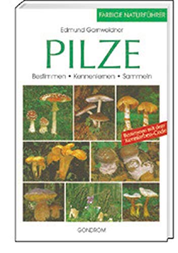 Stock image for Pilze for sale by medimops