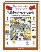 Stock image for Mein erstes gro�es T�rkisch Bildw�rterbuch. Physik und die Erscheinung des Lebendigen. for sale by More Than Words
