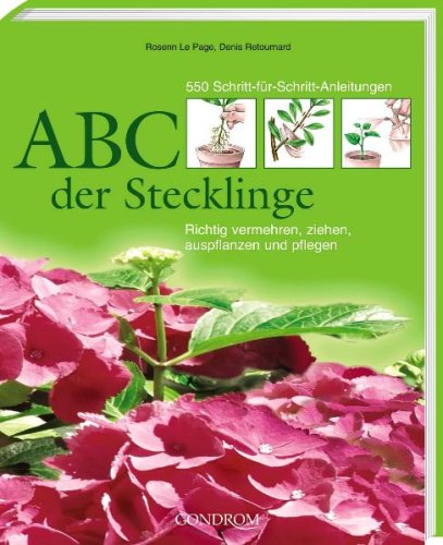 Stock image for ABC der Stecklinge: Richtig vermehren, ziehen, auspflanzen und pflegen for sale by medimops