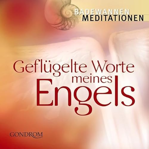 Stock image for Badewannen-meditationen: Geflgelte Worte meines Engels for sale by medimops