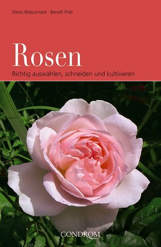 Stock image for Rosen. Richtig auswhlen, schneiden und kultivieren. for sale by medimops