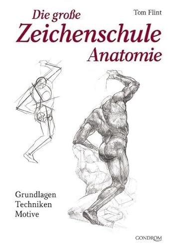 Stock image for Die gro  e Zeichenschule Anatomie. Grundlagen. Techniken. Motive for sale by ThriftBooks-Atlanta