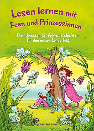 9783811235090: Lesen lernen mit Feen und Prinzessinnen: Die schnsten Lesebildergeschichten fr den ersten Leseerfolg