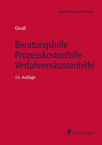 Beratungshilfe - Prozesskostenhilfe - Verfahrenskostenhilfe - Michael Groß, Ingo