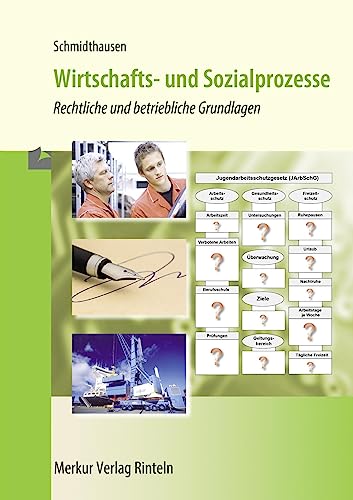 Wirtschafts- und Sozialprozesse: Rechtliche und betriebliche Grundlagen - Schmidthausen, Michael
