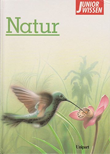 Stock image for Natur aus der Reihe "Junior Wissen" for sale by Versandantiquariat Kerzemichel