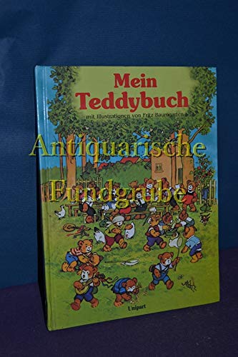 Beispielbild fr Mein grosses farbiges Teddybuch zum Verkauf von Versandantiquariat Felix Mcke