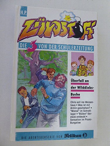 Beispielbild fr Zndstoff. Die 3 von der Schlerzeitung: berfall an der Wilddiebsbuche. Pelikan Abenteuer-Serie fr Lesealter ab 9 Jahren. Hardcover zum Verkauf von Deichkieker Bcherkiste