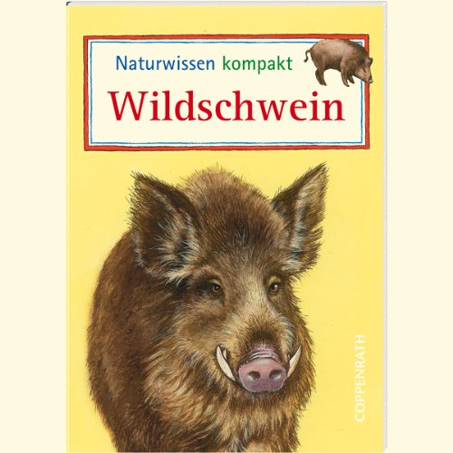 Beispielbild fr Wildschwein zum Verkauf von medimops