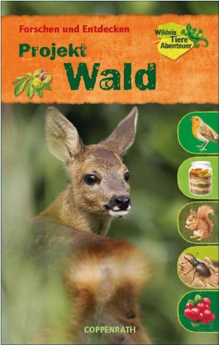 Forschen und Entdecken: Projekt Wald - Haag, Holger