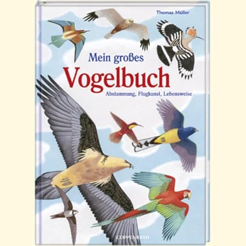 Beispielbild fr Mein groes Vogelbuch: Abstammung, Flugkunst, Lebensweise zum Verkauf von medimops