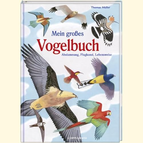 9783815794012: Mein groes Vogelbuch: Abstammung, Flugkunst, Lebensweise