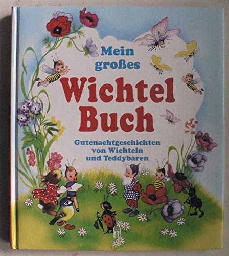 9783816611226: Mein groes Wichtelbuch