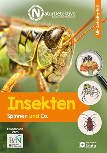 9783817419012: Insekten, Spinnen und Co.