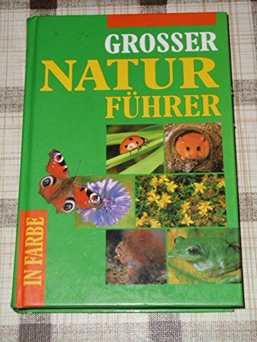 Stock image for Grosser Natur Fhrer - in Farbe for sale by Versandantiquariat Felix Mcke