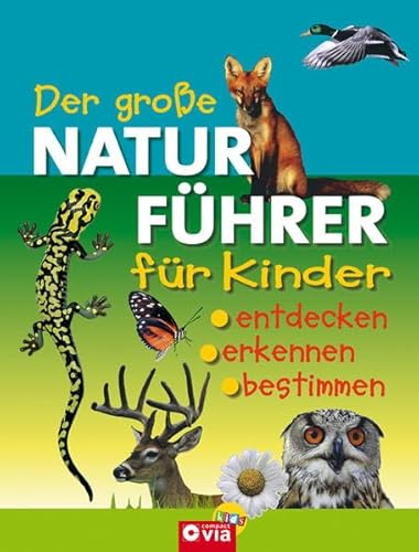 9783817461479: Der groe Naturfhrer fr Kinder: Entdecken, erkennen, bestimmen