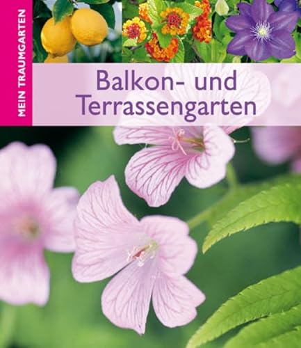 9783817466337: Balkon- und Terassengarten