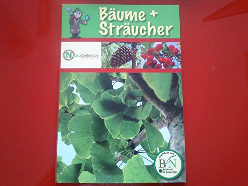 9783817477135: Bume + Strucher. - Kuhn, Birgit