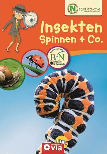 9783817479290: Naturdetektive - Insekten, Spinnen & Co.