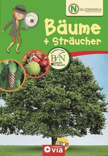 Beispielbild fr Naturdetektive: Bume und Strucher. Wissen und Beschftigung fr kleine Naturforscher ab 6 Jahren zum Verkauf von medimops