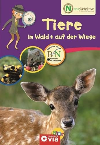 Stock image for Naturdetektive: Tiere im Wald und auf der Wiese. Wissen und Beschftigung fr kleine Naturforscher ab 6 Jahren for sale by medimops