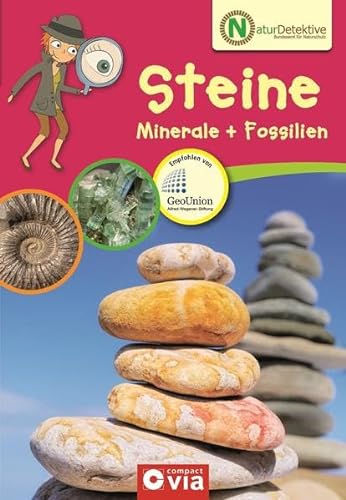 Stock image for Naturdetektive: Steine, Minerale und Fossilien. Wissen und Beschftigung fr kleine Naturforscher ab 6 Jahren for sale by medimops