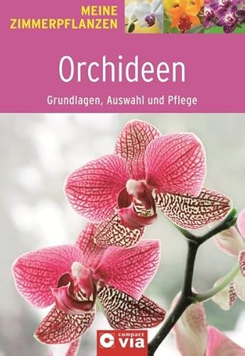 Beispielbild fr Orchideen - Grundlagen, Auswahl und Pflege zum Verkauf von rebuy recommerce GmbH