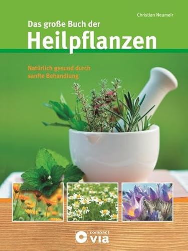 Beispielbild fr Das groe Buch der Heilpflanzen: Natrlich gesund durch sanfte Behandlung zum Verkauf von medimops