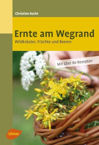 Beispielbild fr Ernte am Wegrand: Wildkruter, Frchte und Beeren zum Verkauf von medimops