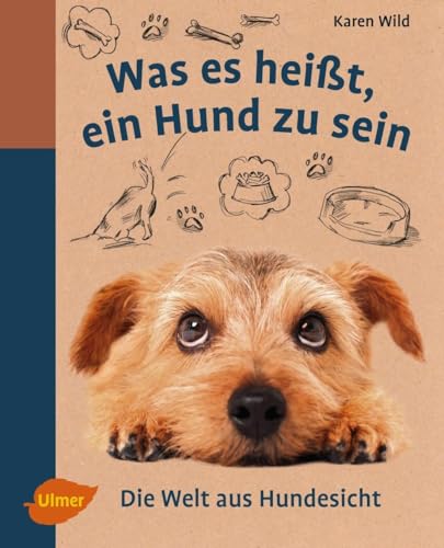 Beispielbild fr Was es heit, ein Hund zu sein: Die Welt aus Hundesicht zum Verkauf von medimops