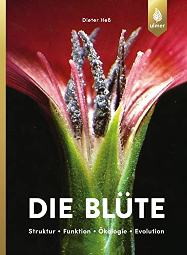 Die Blüte: Struktur, Funktion, Ökologie, Evolution. - Heß, Dieter