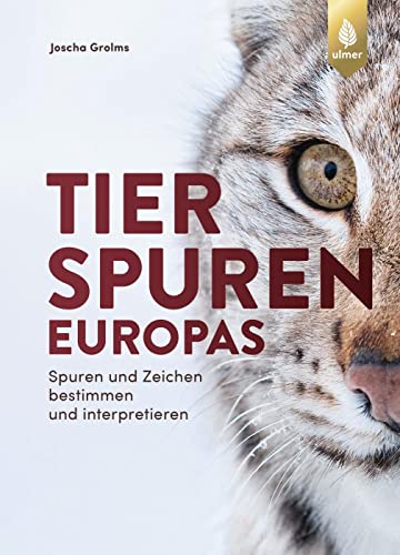 9783818600907: Tierspuren Europas: Spuren und Zeichen bestimmen und interpretieren. Mit Spuren und Zeichen von Sugetieren, Vgeln, Reptilien, Amphibien und Wirbellosen