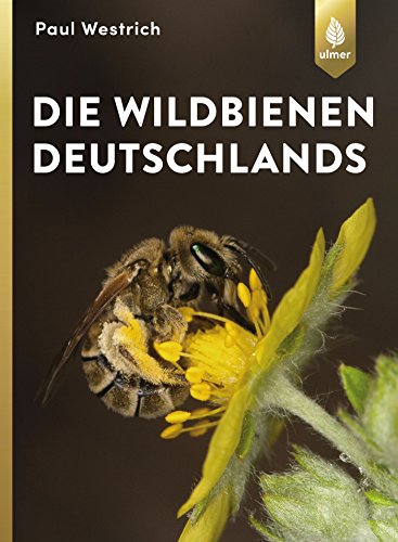 Die Wildbienen Deutschlands - Westrich, Paul