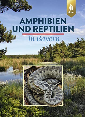 Imagen de archivo de Amphibien und Reptilien in Bayern a la venta por Revaluation Books