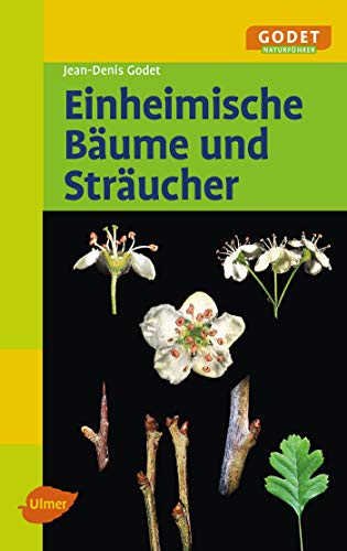 9783818603816: Einheimische Bume und Strucher