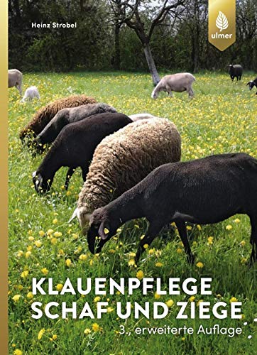 Beispielbild fr Klauenpflege Schaf und Ziege zum Verkauf von Blackwell's