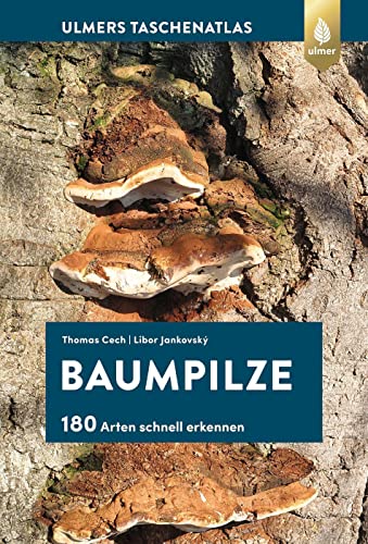 Stock image for Baumpilze for sale by Blackwell's