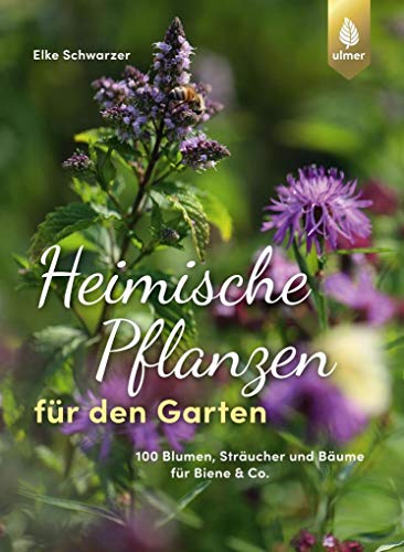 Beispielbild fr Heimische Pflanzen fr den Garten: 100 Blumen, Strucher und Bume fr Biene & Co. zum Verkauf von medimops