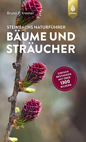 Stock image for Steinbachs Naturfhrer Bume und Strucher -Language: german for sale by GreatBookPrices