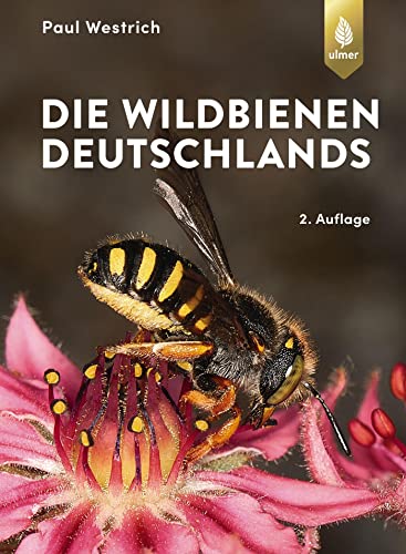 Die Wildbienen Deutschlands -Language: german - Westrich, Paul