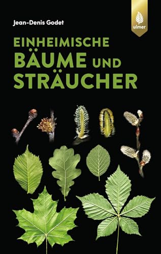 Beispielbild fr Einheimische Bume und Strucher -Language: german zum Verkauf von GreatBookPrices