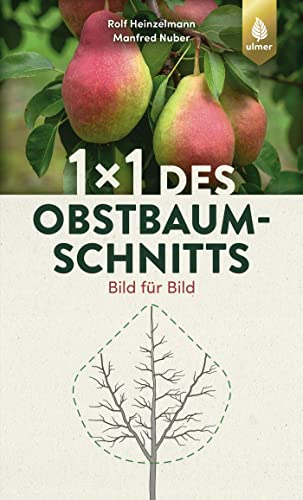 Imagen de archivo de 1 x 1 des Obstbaumschnitts -Language: german a la venta por GreatBookPrices