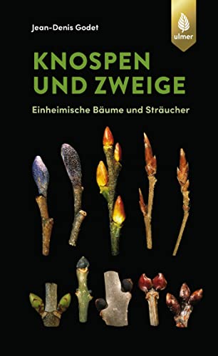 Imagen de archivo de Knospen und Zweige: Einheimische Bume und Strucher a la venta por Revaluation Books