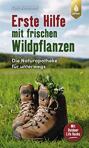 Beispielbild fr Erste Hilfe mit frischen Wildpflanzen -Language: german zum Verkauf von GreatBookPrices