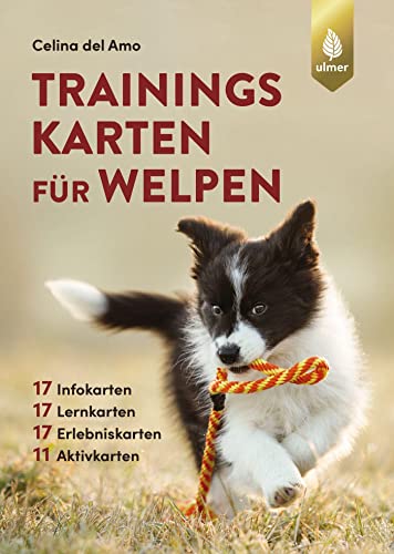 9783818613136: Trainingskarten fr Welpen