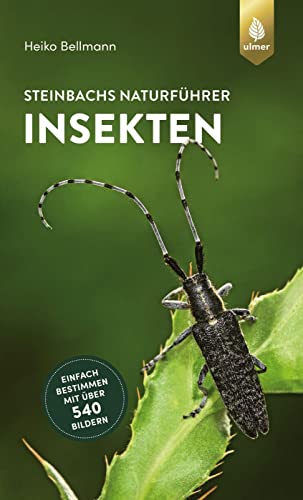 9783818614195: Steinbachs Naturfhrer Insekten: Einfach bestimmen mit ber 540 Bildern