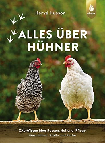 Stock image for Alles ber Hhner for sale by Blackwell's