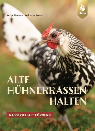 Stock image for Alte Hhnerrassen halten for sale by GreatBookPrices