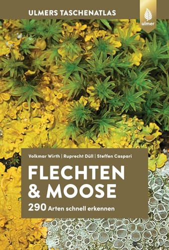 Stock image for Flechten und Moose for sale by GreatBookPrices