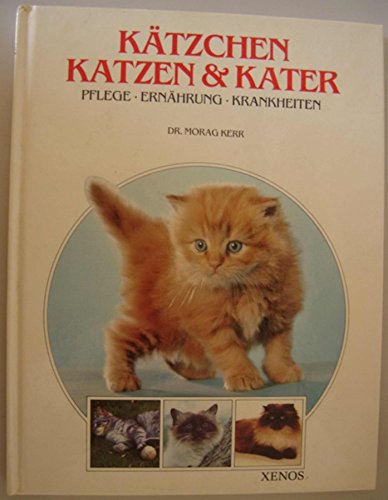 9783821208817: Ktzchen, Katzen und Kater: Pflege, Ernhrung, Krankheiten by Kerr, Morag; We...